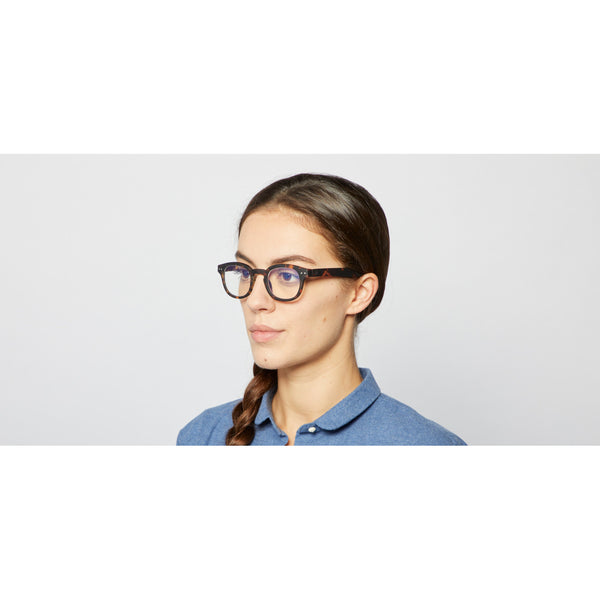 Screen #C Tortoise